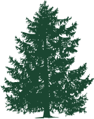 Grand forest logo